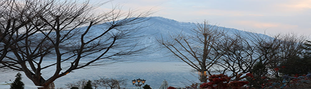 대우컴퓨터문구