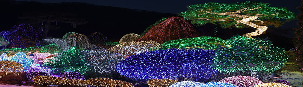 대우컴퓨터문구